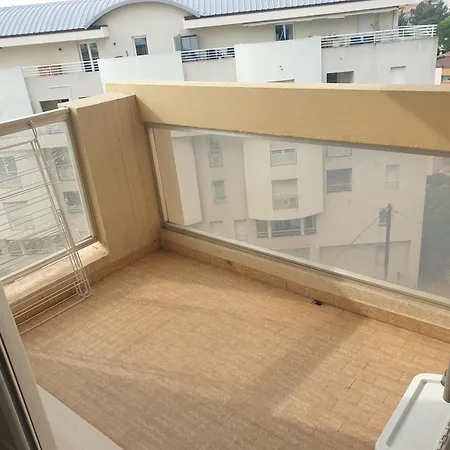 Il Leone Di Cecilia * Antibes