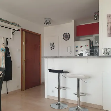 Il Leone Di Cecilia Apartamento Antibes