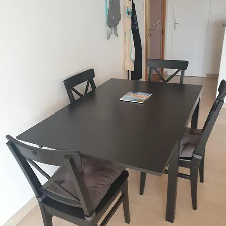 Il Leone Di Cecilia Apartman Antibes